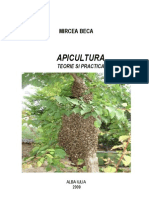 Apicultura - Teorie Si Practica de Mircea Beca