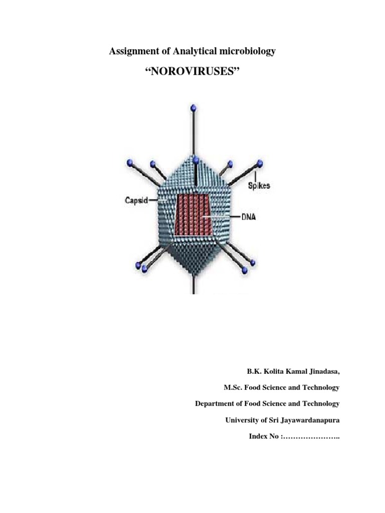 Norovirus: Structure and Life Cycle Insights | PDF | Virus | Cell (Biology)