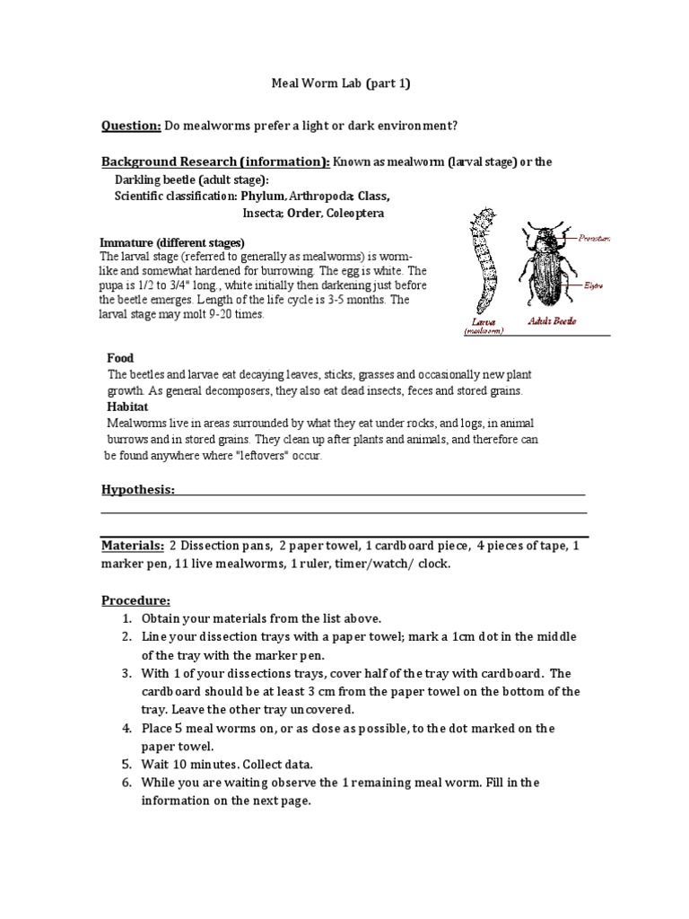 Introduction tok essay