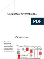 Circulação em vertebrados