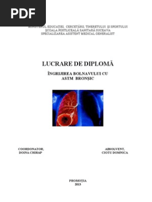 Licenta Finala