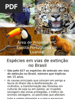 Sonia Espécies em vias de extinção no Brasil POINT