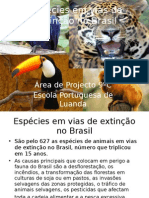 Sonia Espécies em vias de extinção no Brasil POINT