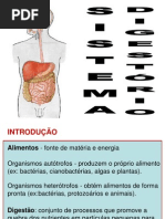 Sistema Digestorio