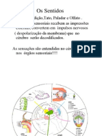 Aula5_örgãos sensoriais_Audição_1seg.ppt _Modo de Compatibilidade_