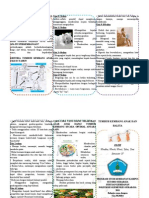 Print Leaflet Tumbuh Kembang Anak Dan Balita