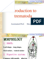 Introduction to Trematoda Morphology and Life Cycles