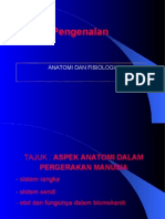 Pengenalan Anatomi Dan Fisiologi 4