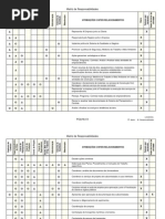 45754781 Matriz de Responsabilidades