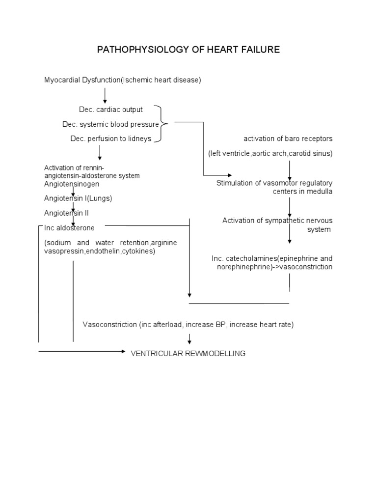 Pathophysiology New | PDF