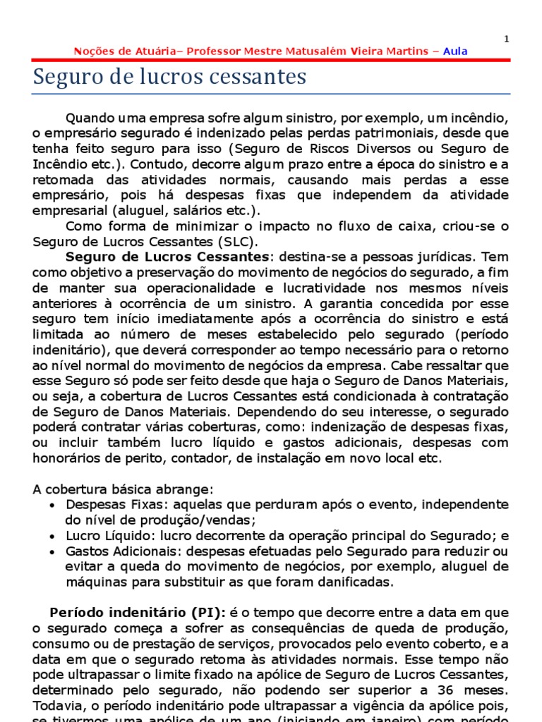 Seguro de Lucros Cessantes: Guia Completo | PDF