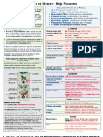 Spanish Summary Sheet 082009