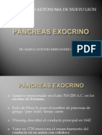 38Pancreasexocrino