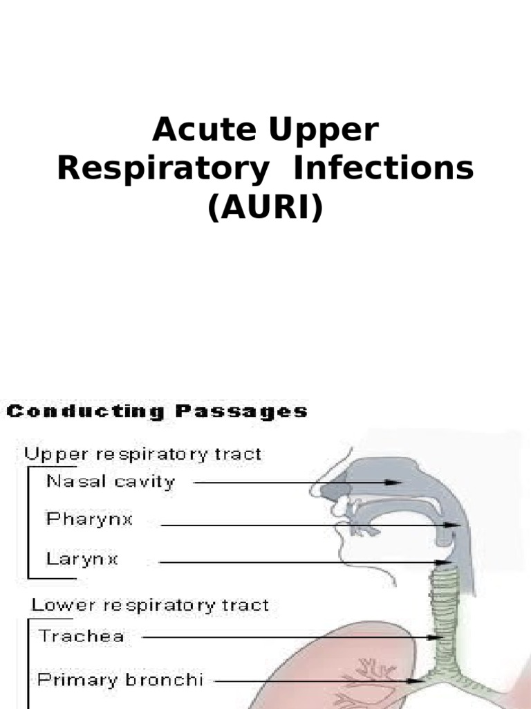 Acute Upper Respiratory Tract InfectionsMB, BS Medical Respiratory