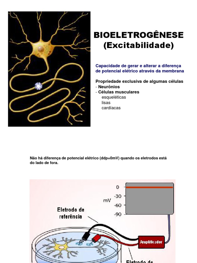 Bioeletrogênese e Potenciais de Ação | PDF | Potencial de ação | Membrana  celular, image size:768x1024