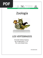 Los Vertebrados