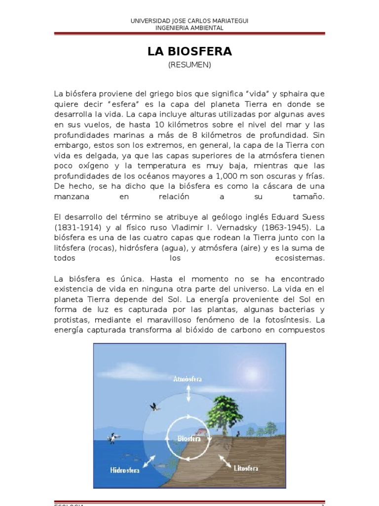 La Biosfera | PDF | Ciencia y matemáticas