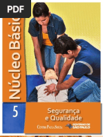 NÚCLEO BÁSICO VOL.5 - SEGURANÇA E QUALIDADE