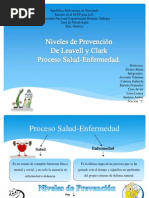 Niveles de Prevención de Leavell y Clark Proceso Salud-Enfermedad