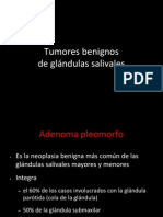 adenoma pleomorfo.ppt