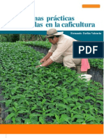 Buenas Prácticas en La Caficultura