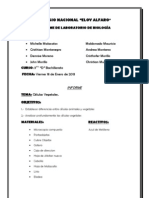 Informe de BIOLOGIA 2012 0ctubre