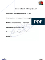 Histologia Del Sistema Endocrino