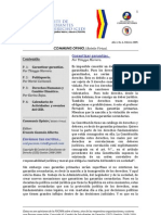 Boletín Communis Opinio - Año 1, No. 4, Febrero 2009.