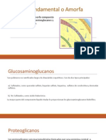 Sustancia Fundamental o Amorfa