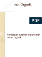 Tanaman Organik