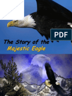 Majestic Eagle: The Story of The