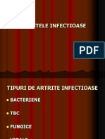 Artritele Infectioase Dr. Ancuta