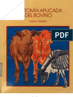 Libro de Anatomia Aplicada Del Bovino