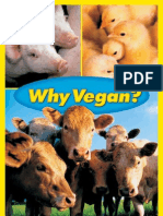 14168684 Why Vegan Boycott Cruelty