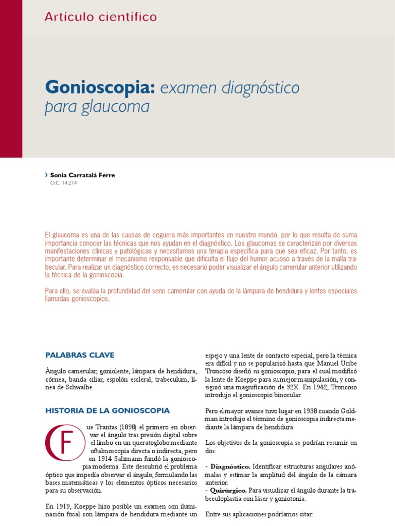 Gonioscopia: Clave en Diagnóstico de Glaucoma | PDF, image size:768x1024