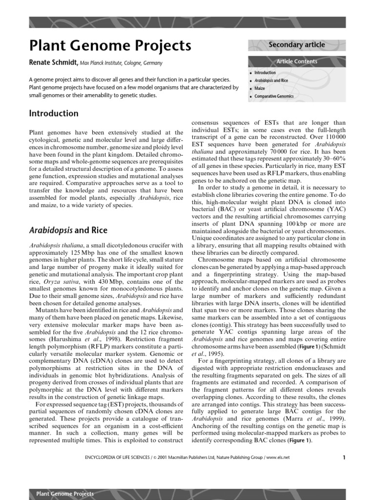 Overview of Plant Genome Projects | PDF | Genome | Molecular Cloning