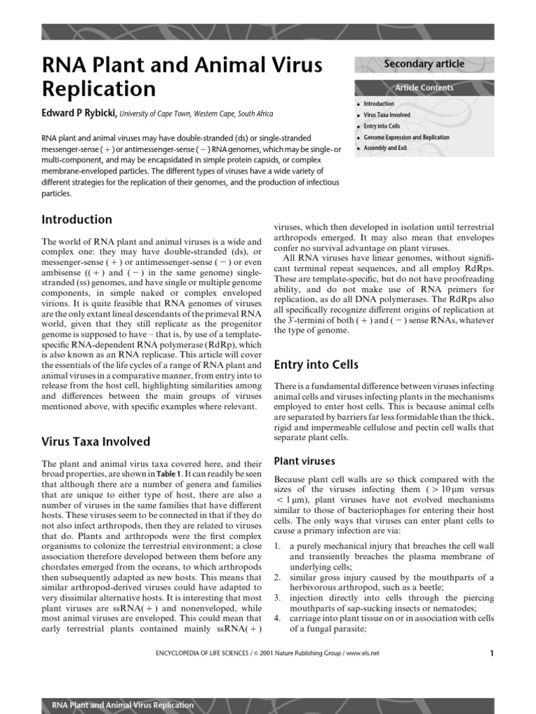 RNA Plant and Animal Virus Replication PDF | PDF | Messenger Rna ...