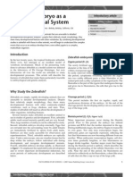 Zebrafish Embryo as a Developmental System.pdf