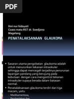 Download Penatalaksanaan Glaukoma by Aditya Alfarizi SN161928606 doc pdf