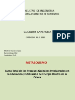 GLUCOLISIS ANAEROBIA-1