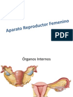 Aparato Reproductor Femenino (Bioanalisis)