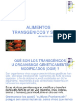 4. Presentacion Transgenicos Ok