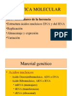 Genetica Molecular