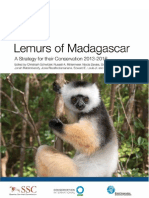 Lemur Conservation Plan