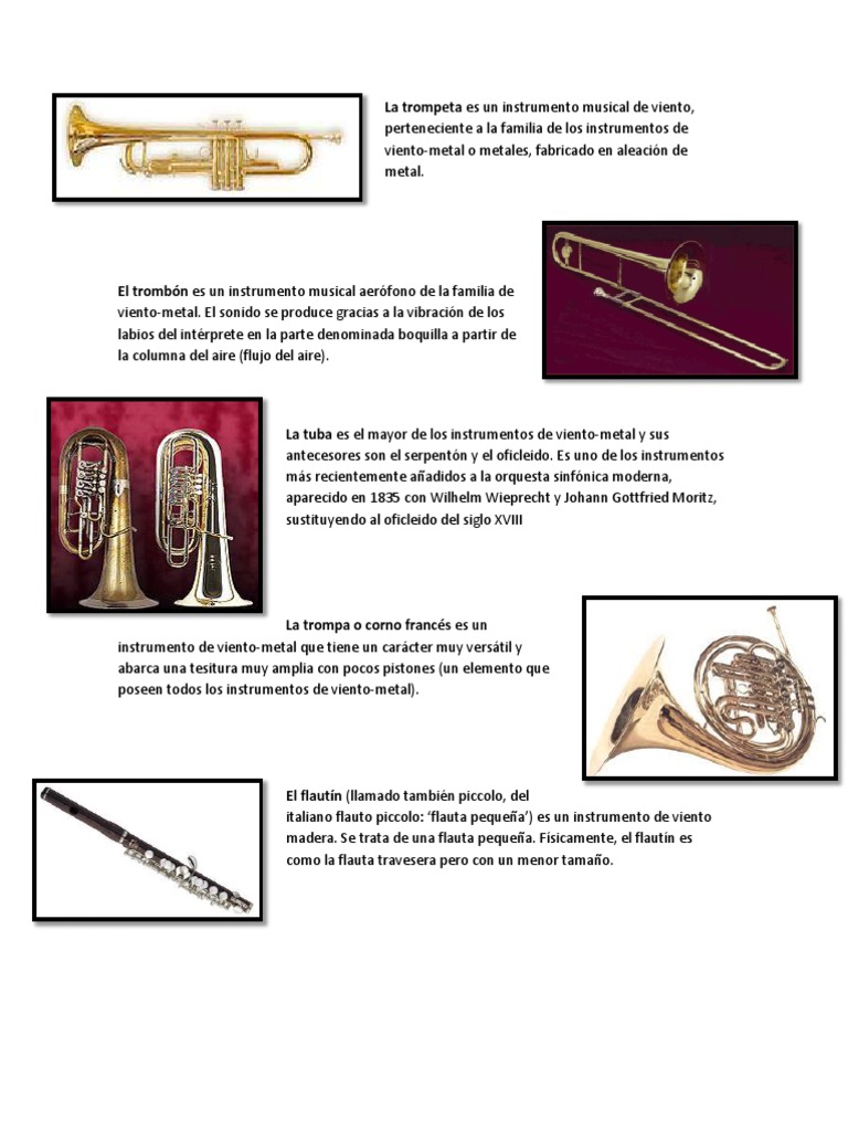 Instrumentos de Viento: Nombres y Tipos | PDF | Fagot | Instrumentos de ...