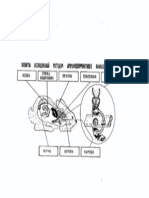 Differential Diagnosis Of Acute Radiation Syndromes  by IEA 