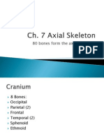 CH - Pptxaxial Skeleton 2 2