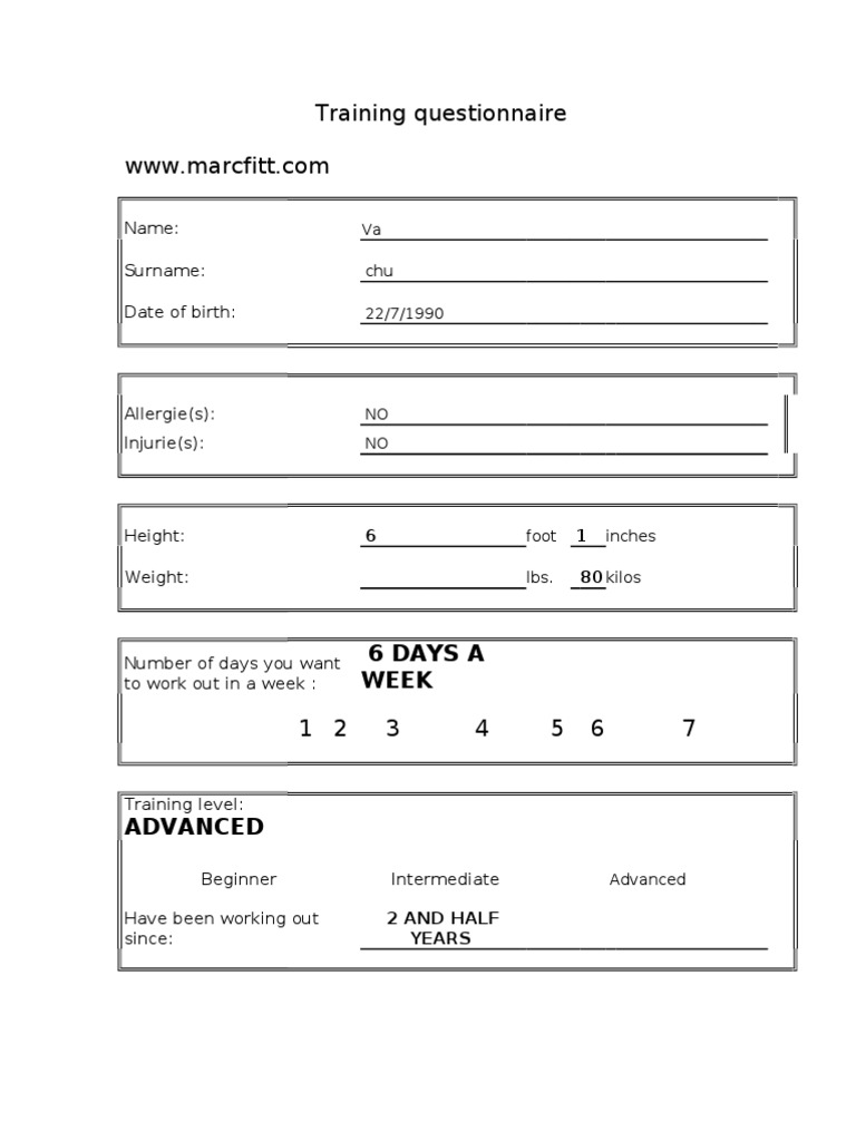 Workout Questionnaire Marcfitt - Com Doc2 | PDF
