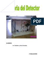 Proyecto Detector Ion y Alicia