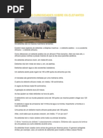 30 Pequenas Curiosidades Sobre Os Elefantes